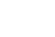 KIWI. Dataport Logo